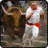 icon com.dss.bull.run2016 1.0.3