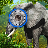 icon Elephant Hunter 3D 1.1