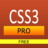 icon CSS3 Pro 1.6