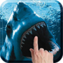 icon Shark Attack
