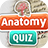 icon Anatomy Quiz 3.0