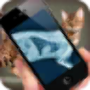 icon Simulation XRay Cat for Samsung Galaxy Young 2