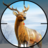 icon Real Deer Hunting: Zoo Hunter 5.3