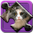 icon Kitties Puzzle 1.0.1