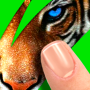 icon Scratch: Guess animal