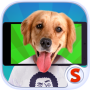 icon Face scanner: What Doggy