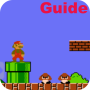 icon Guide for Super Mario Brothers for Samsung P1000 Galaxy Tab