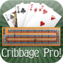 icon Cribbage Pro