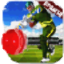 icon World Cricket Skills