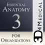 icon Essential Anatomy for Organizations