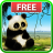 icon Animated Panda Live Wallpaper 1.0.4