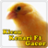icon Kicau Kenari F1 Gacor 2.0