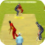 icon Cricket World Cup Game