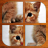 icon Baby Animals Puzzle 4.1