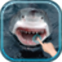 icon Magic Touch Shark Attack