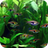 icon Aquarium 3D 6.0