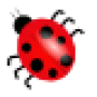 icon Ladybug_Chase