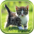 icon com.livewallpapers3d.cats 1.0.5