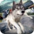 icon Wolf Simulator 2016 2.11.2