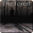 icon Slendrina: The Forest 1.0.3