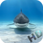 icon Sharks Video Live Wallpaper
