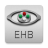 icon Eye Handbook 10.6.3