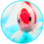 icon Aquarium 3D Live Wallpaper