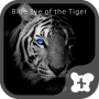 icon Blue Eye of the Tiger