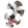 icon Puppies Puzzle HD