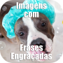 icon Imagens com Frases Engracadas