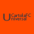icon CartolaFCUniversal.Android 18.0.2