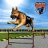 icon Police Dog Training School 3D 1.1