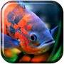 icon Aquarium 3D. Video Wallpaper