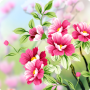 icon Flowers Live Wallpaper