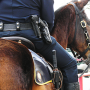 icon City Police Horse Training