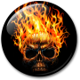 icon Skulls Live Wallpaper for Samsung Galaxy Young S6310