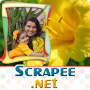 icon Scrapee - Photo Frames