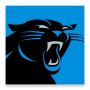 icon Panthers