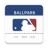 icon Ballpark 10.6.0