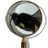 icon Magnifying Glass 1.33