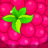 icon Fruits Mania! 1.0.8