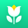 icon Plant Parent: Plant Care Guide for Doov A10