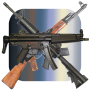 icon Cam Weapons 3D