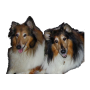 icon Dog Training for Samsung Galaxy Grand Quattro(Galaxy Win Duos)