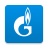 icon Gazprom 1.0