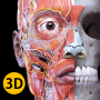 icon Anatomy 3D Atlas for blackberry DTEK50