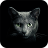 icon Find a cat 5.9.12