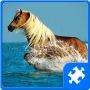 icon Horses Puzzle