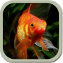 icon com.chudodevelop.aquariumfishru.free