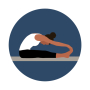 icon Bend: Stretching & Flexibility